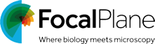 Focal Plane