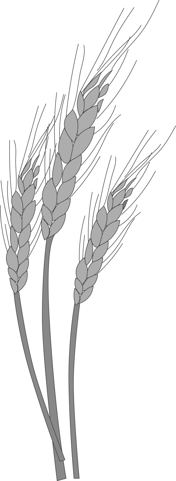 Growth and Diversification